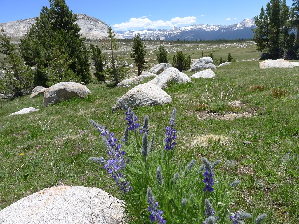 RuggedPeak 024